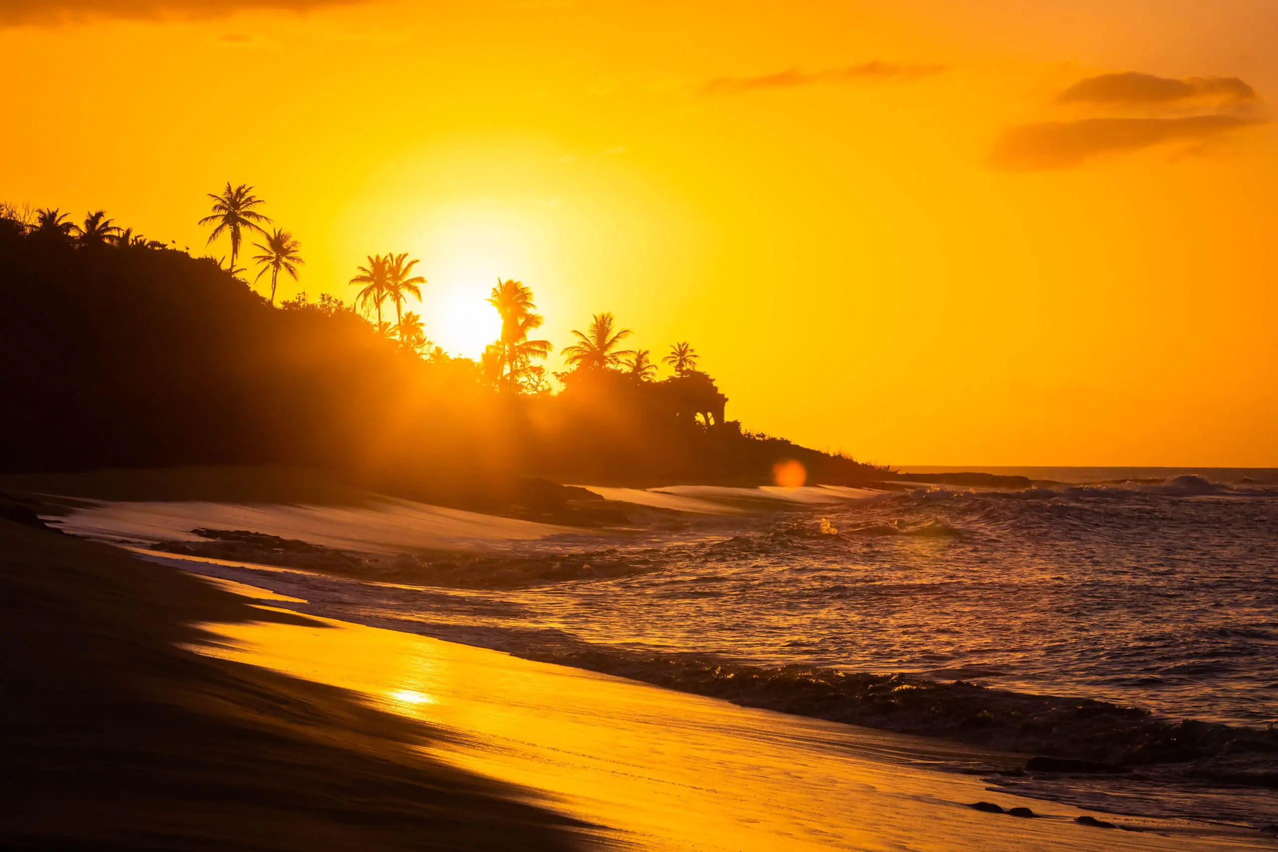 Puesta de sol tropical en la playa con palmeras al amanecer
